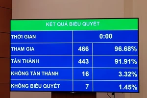 ĐBQH bấm nút thông qua luật