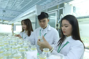 Sinh viên Đại học Nông nghiệp. Ảnh: QUANG PHÚC