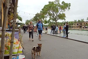 Du khách quốc tế du lịch tại Việt Nam. Ảnh: QUANG PHÚC