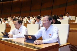 Các đại biểu dự phiên họp sáng 31-10. Ảnh: QUANG PHÚC