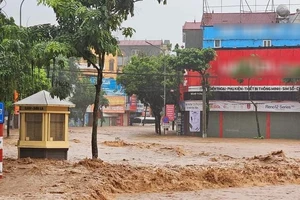 Trung tâm TP Sơn La sáng 24-7, nước đỏ ngàu cuồn cuộn chảy về trong mưa 