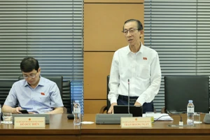 Đại biểu Trần Hoàng Ngân (TPHCM) phát biểu tại thảo luận tổ. Ảnh: QUANG PHÚC