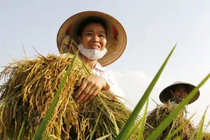 Quỹ Hỗ trợ nông dân Trung ương nhằm hỗ trợ hội viên Hội Nông dân