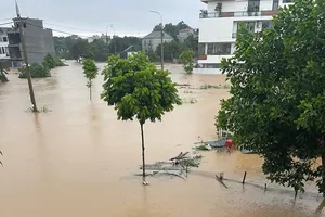 Nước ngập hơn 1m ở thành phố Thái Nguyên, tỉnh Thái Nguyên