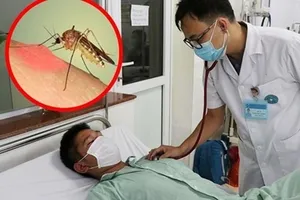 Thủ tướng yêu cầu tăng cường phòng, chống bệnh sốt xuất huyết
