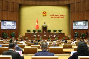 Phiên thảo luận chiều 10-11. Ảnh: QUANG PHÚC