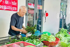 Giá rau ăn lá tăng mạnh