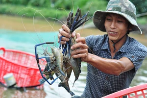 Đồng Nai đầu tư hơn 226 tỷ đồng cho vùng nuôi thủy sản công nghệ cao