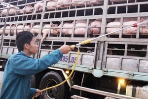 Đồng Nai: Thêm hai xã ở huyện Cẩm Mỹ có heo mắc dịch tả châu Phi