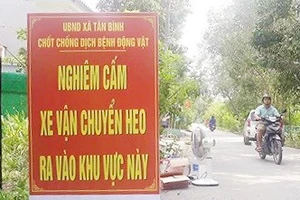 Đồng Nai tiêu huỷ hơn 90.000 con heo mắc dịch tả heo Châu Phi