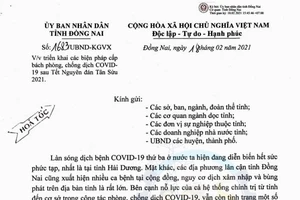 Đồng Nai: Người đứng đầu phải chịu trách nhiệm về hiệu quả phòng, chống dịch Covid-19