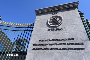 越南加入世贸组织争端解决机制。
