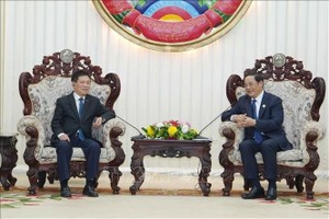 越南政府副总理胡德福拜会老挝政府总理宋赛·西潘敦。