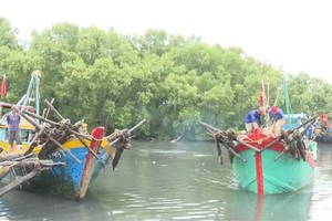 解除IUU“黄牌”警告：坚决防止渔船在外国海域进行非法捕捞