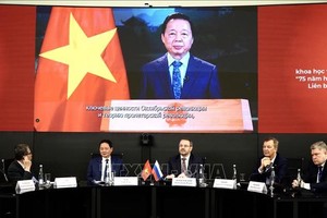 越南政府副总理陈红河发表视频讲话。