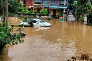 Gió Đông Bắc về, miền núi phía Bắc mưa to