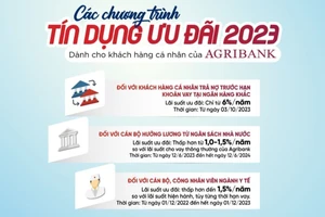 Chương trình ưu đãi tín dụng dành cho khách hàng cá nhân tại Agribank 