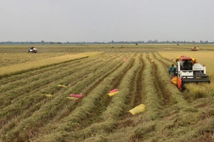 Nông dân miền Tây sẵn sàng