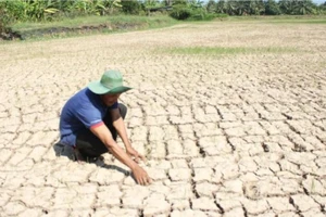 Thủ tướng yêu cầu ứng phó nguy cơ hạn hán, thiếu nước, xâm nhập mặn