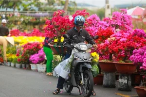 TP Cần Thơ miễn tiền thuê mặt bằng cho tiểu thương tham gia chợ hoa tết 