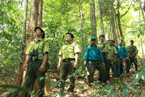 Bình Phước: Vào mùa ươi, tăng cường phòng cháy rừng 