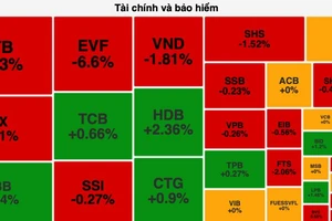 Nhiều cổ phiếu ngân hàng tăng điểm góp phần giúp VN-Index đỡ giảm sâu