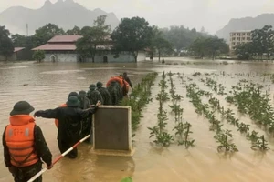 Mưa lũ dị thường, cần ứng phó sớm và dự báo chính xác hơn