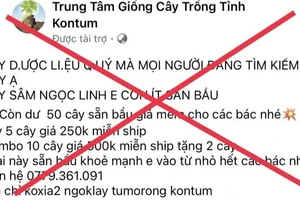 Đối tượng sử dụng mạng xã hội để rao bán sâm giả. Ảnh: CA