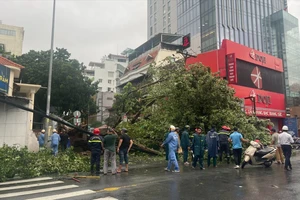 TPHCM triển khai phương án, biện pháp ứng phó ảnh hưởng bão số 3