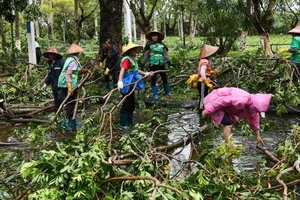  Công nhân vệ sinh dọn dẹp cành cây bị gãy trên đường Tân Hải thành phố Hải Khẩu ngày 7-9. Ảnh: Tân Hoa xã