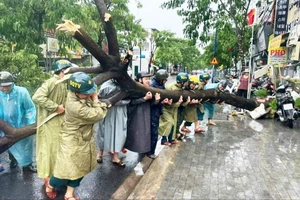 Đông Nam bộ: Cảnh báo nguy cơ cây đổ đè người đi đường