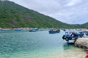 Nha Trang: Tìm hướng phát triển bền vững cho đảo Bích Đầm