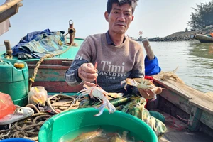 Ngư dân Dương Văn Thông (xã Thịnh Lộc, huyện Thạch Hà, Hà Tĩnh) phấn khởi đánh bắt được nhiều ghẹ tại chuyến biển đầu tiên của năm mới 