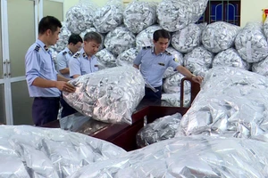 Tạm giữ 40.000 gói rong biển tại Bắc Ninh