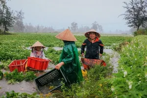 Ít nhất 6 người chết và mất tích do mưa lũ ở miền Trung