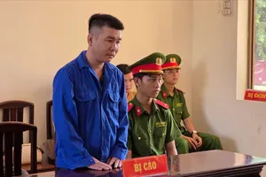 “Cò lúa” chiếm đoạt hơn nửa tỷ đồng, lãnh án 5 năm tù 