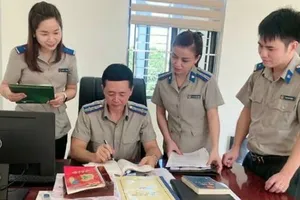 Tại địa phương, hệ thống THADS được tổ chức một cấp, với 34 cơ quan THADS cấp tỉnh, thành phố