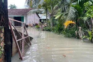 Nam bộ sắp xuất hiện kỳ triều cường mới, nguy cơ ngập diện rộng