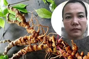 Công an Đà Nẵng bắt tạm giam Trương Thị An về hành vi lừa đảo. Ảnh: CACC