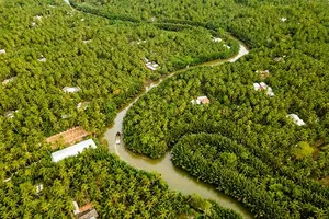 Vĩnh Long có diện tích dừa rộng lớn với 120.000ha. Ảnh: Hội nhiếp ảnh Bến Tre