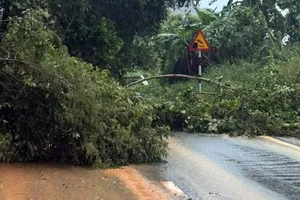 Ít nhất có 12 điểm sạt lở trên đèo Ngoạn Mục