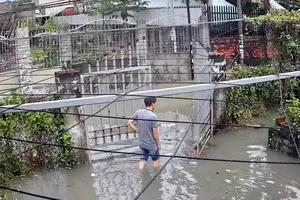 TPHCM: Mưa lớn trong đêm, một số nơi ngập sâu 