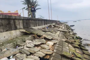 Hiện trường mái kè đoạn qua thôn Mai Lâm đã bị hư hỏng, tan hoang 