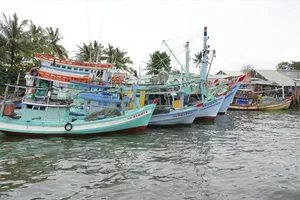 Tàu cá neo đậu tại đặc khu Phú Quốc