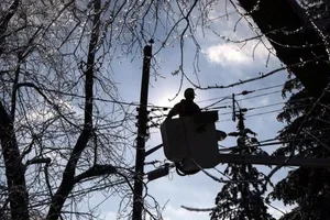 BC Hydro cho biết nhiều năm hạn hán đã khiến cây cối trở nên yếu và không ổn định, dẫn đến gió mạnh làm chúng đổ xuống các thiết bị điện. Ảnh: Canadian Press