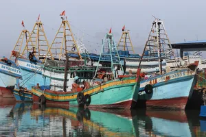 FIP Vũng Tàu là dự án cải thiện nghề lưới kéo Vũng Tàu