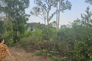 Phú Quốc có 4.024ha đất của hộ gia đình, cá nhân, cộng đồng dân cư đang sử dụng đất mà chưa được cấp Giấy chứng nhận quyền sử dụng đất