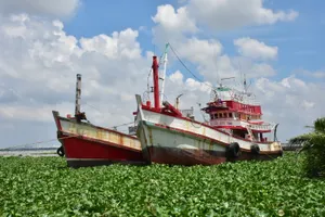 Tàu cá neo đậu tại khu vực Kênh Dài, xã Tây Yên, tỉnh An Giang. Ảnh minh họa