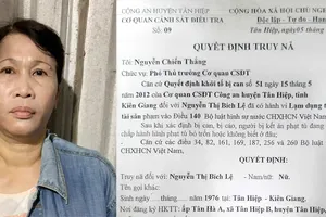 Đối tượng Nguyễn Thị Bích Lệ