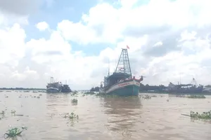 UBND tỉnh An Giang kêu gọi chủ tàu, thuyền trưởng và các cá nhân liên quan nghiêm túc chấp hành các quy định pháp luật về chống khai thác IUU. Ảnh minh họa